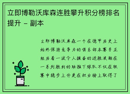 立即博勒沃库森连胜攀升积分榜排名提升 - 副本